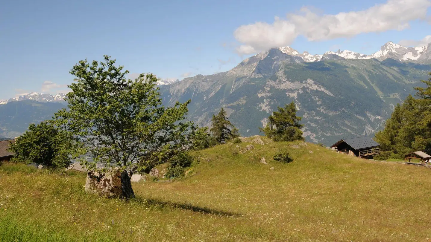Casa singola in vendita - Route D'isérables, 1914 Auddes-sur-Riddes - Photo 3
