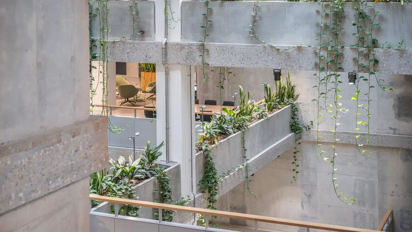 Bürofläche mieten - Buckhauserstrasse 40, 8048 Zürich