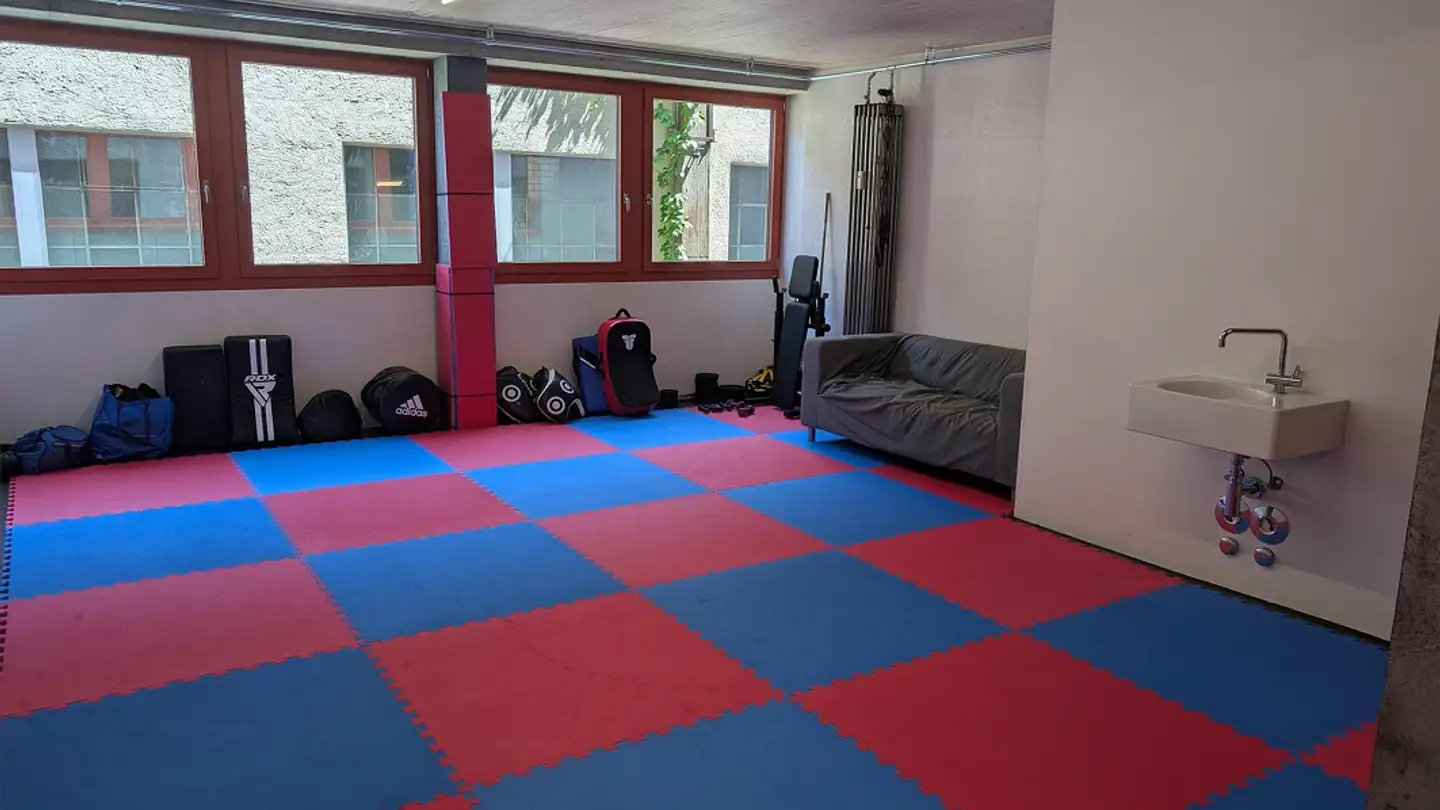 Commerciale in affitto - Tössfeldstrasse 23, 8400 Winterthur - Foto 4