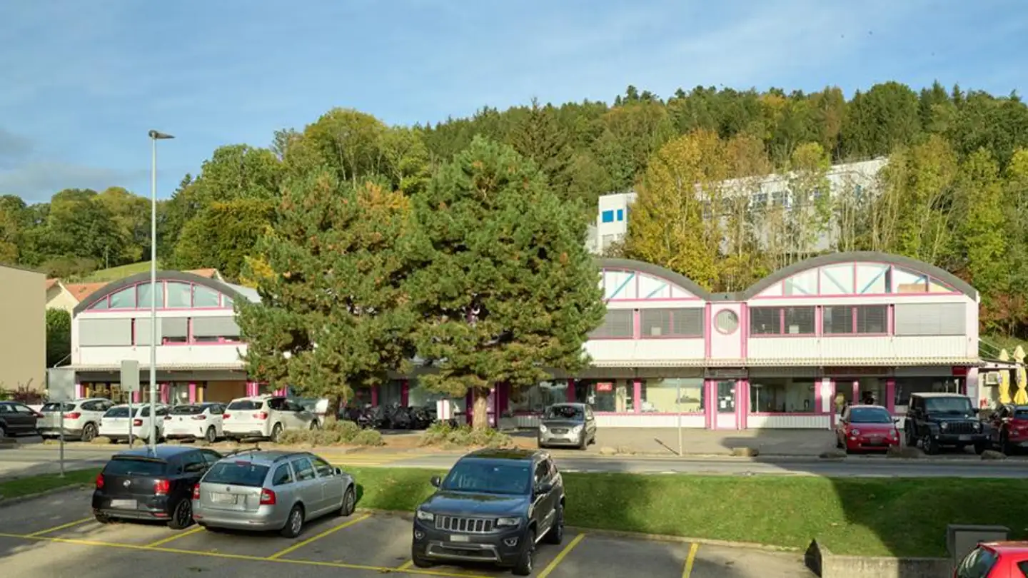 Mischgenutztes Gebäude mieten - Route De Moudon 32, 1670 Ursy