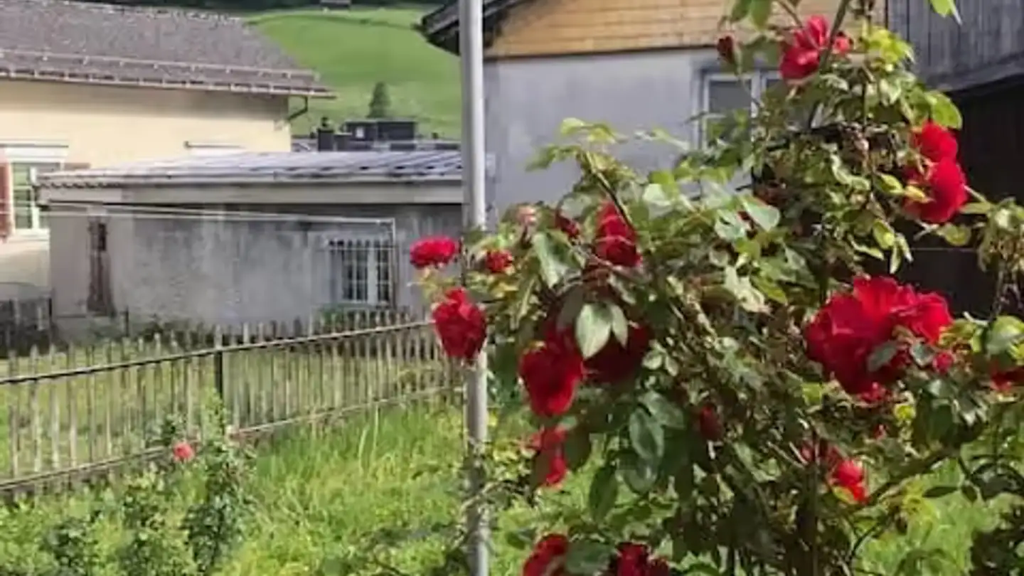 Semi-detached house for rent - Thonerstrasse 38, 8762 Schwanden GL - Photo 4