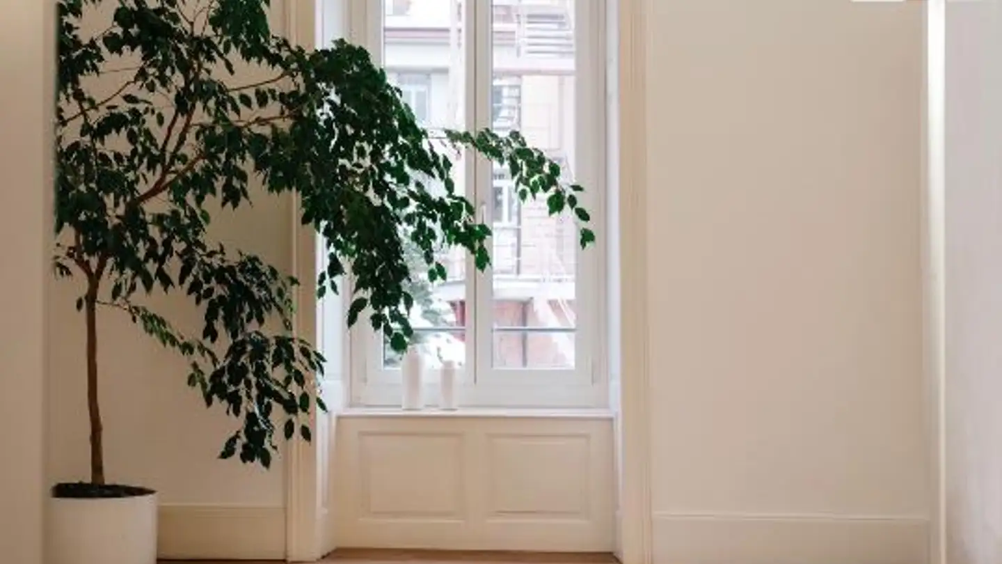 Spazio ufficio in affitto - Hirschengraben 41a, 6003 Luzern - Foto 3