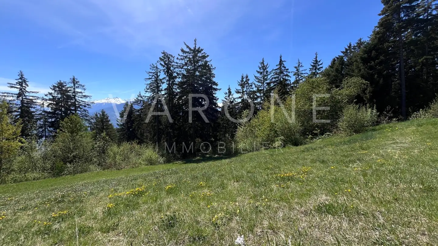 Terrain constructible à vendre - Chemin Des Mélèzes, 1965 Savièse - Photo 4