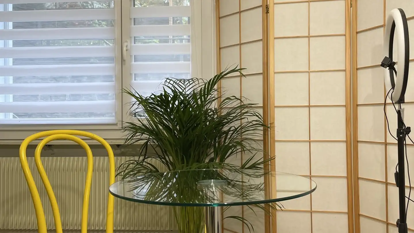 Gewerbe mieten - Zürichstrasse 66, 6004 Luzern
