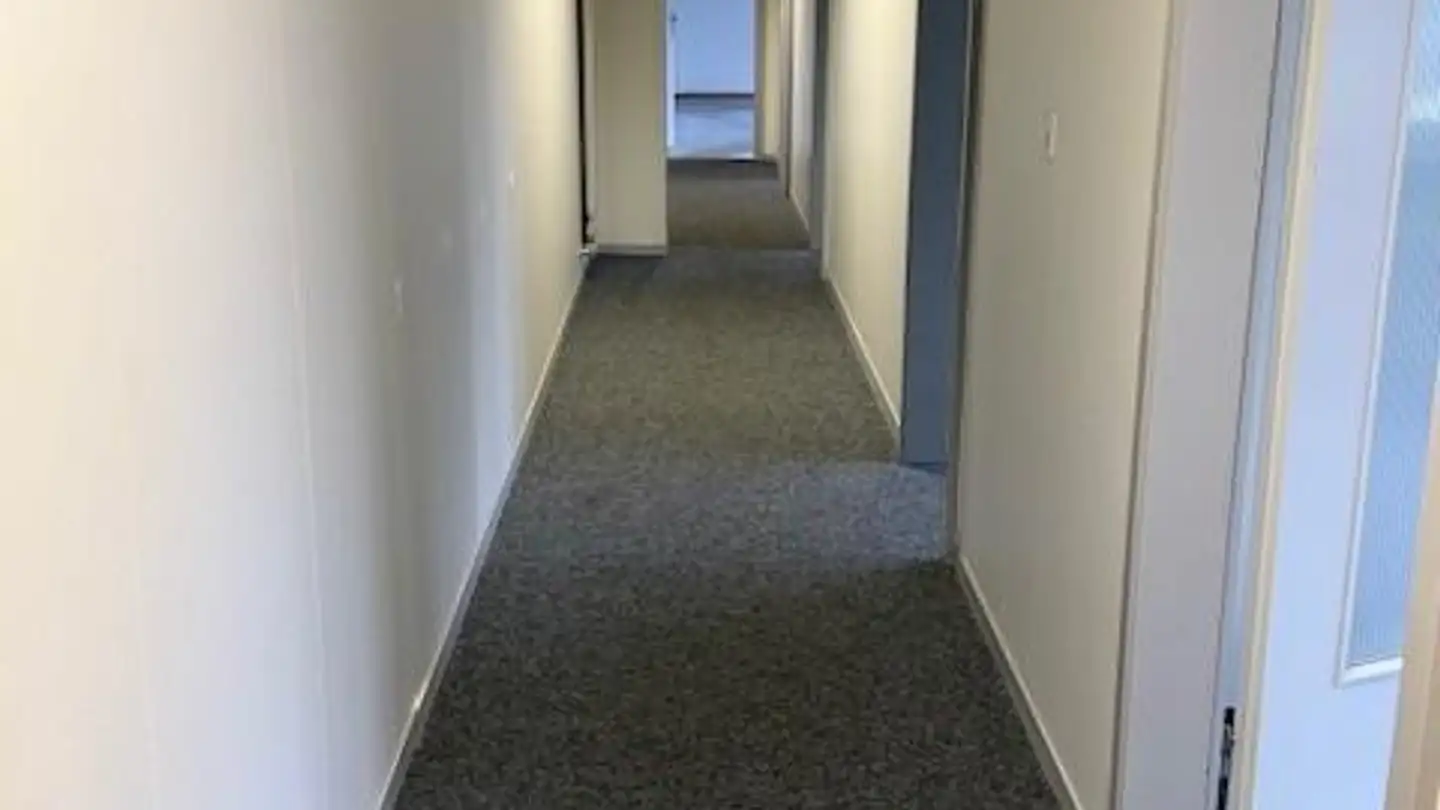 Commercial for rent - Talstrasse 38, 8200 Schaffhausen - Photo 3