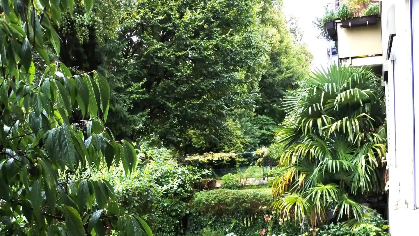 Appartement à louer - Grienstrasse 120, 4055 Basel