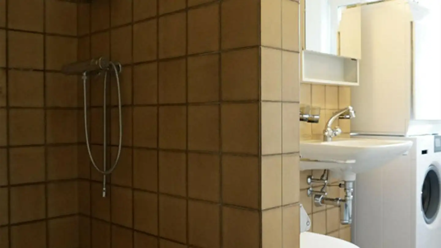 Appartement à louer - Engenbüelstrasse 12, 8304 Wallisellen - Photo 4