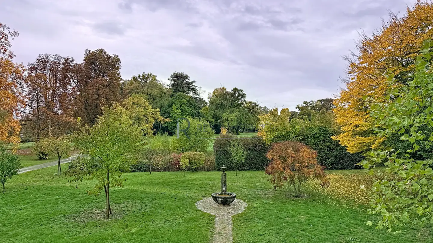 Studio in affitto - 1294 Genthod