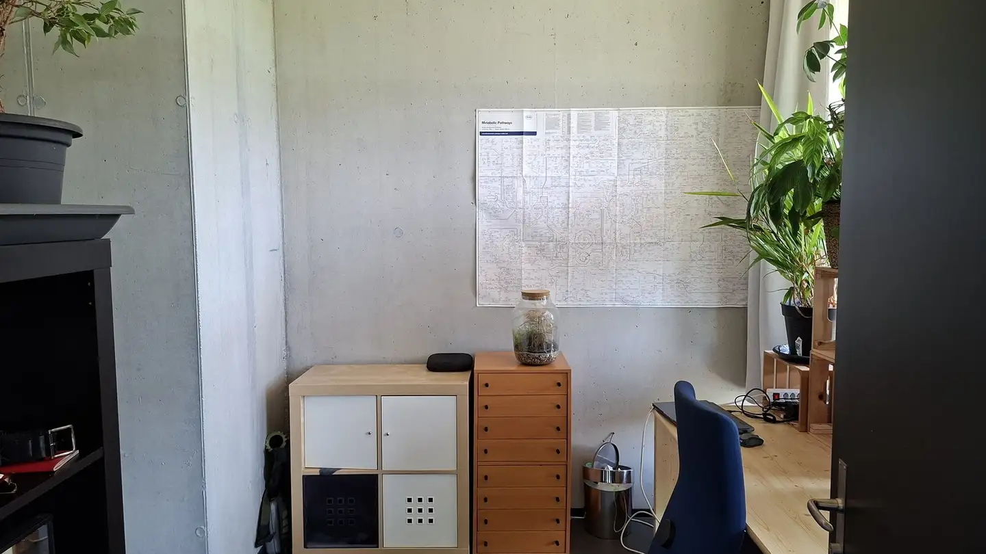 Chambre à louer - Meierhofstrasse 3a, 8820 Wädenswil