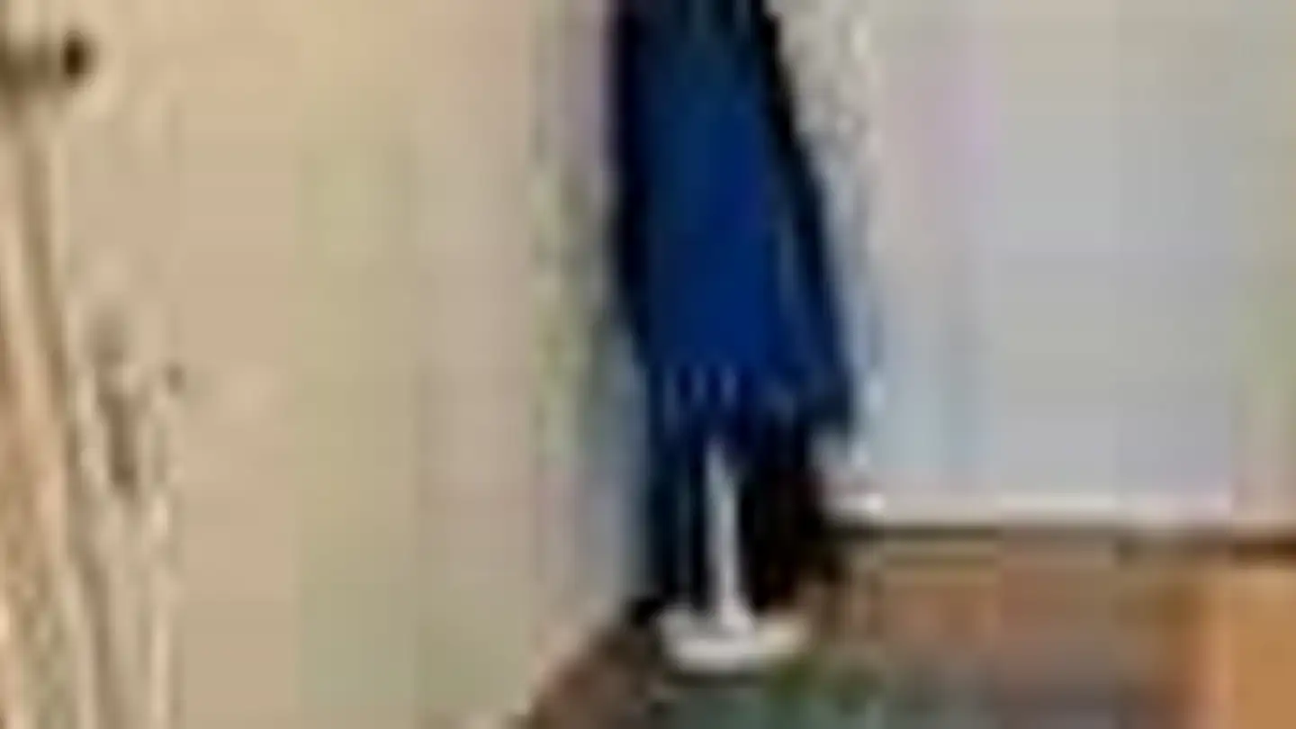 Appartement à louer - Chemin Des Fraisiers, 1212 Grand-Lancy - Photo 2