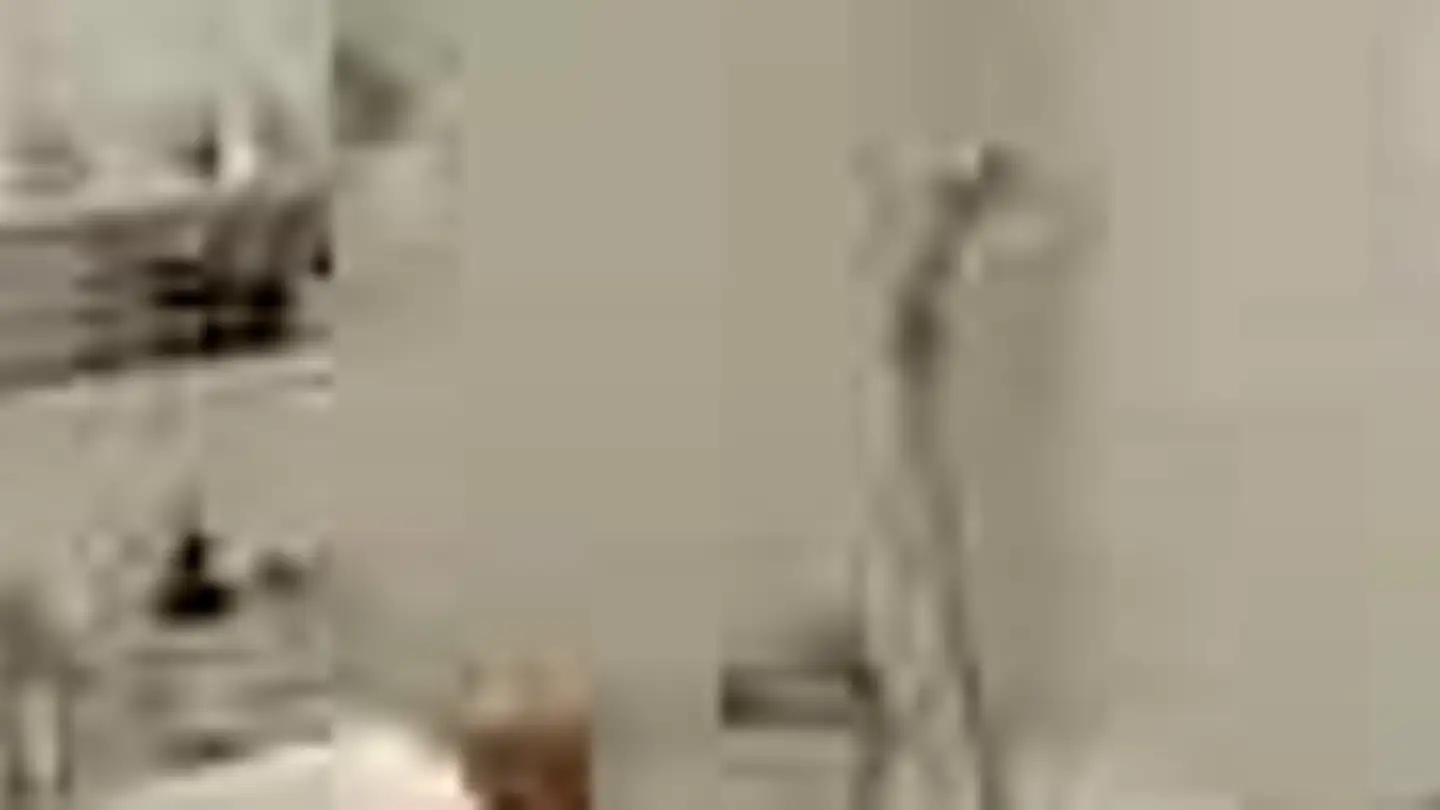 Appartement à louer - Chemin Des Fraisiers, 1212 Grand-Lancy - Photo 4