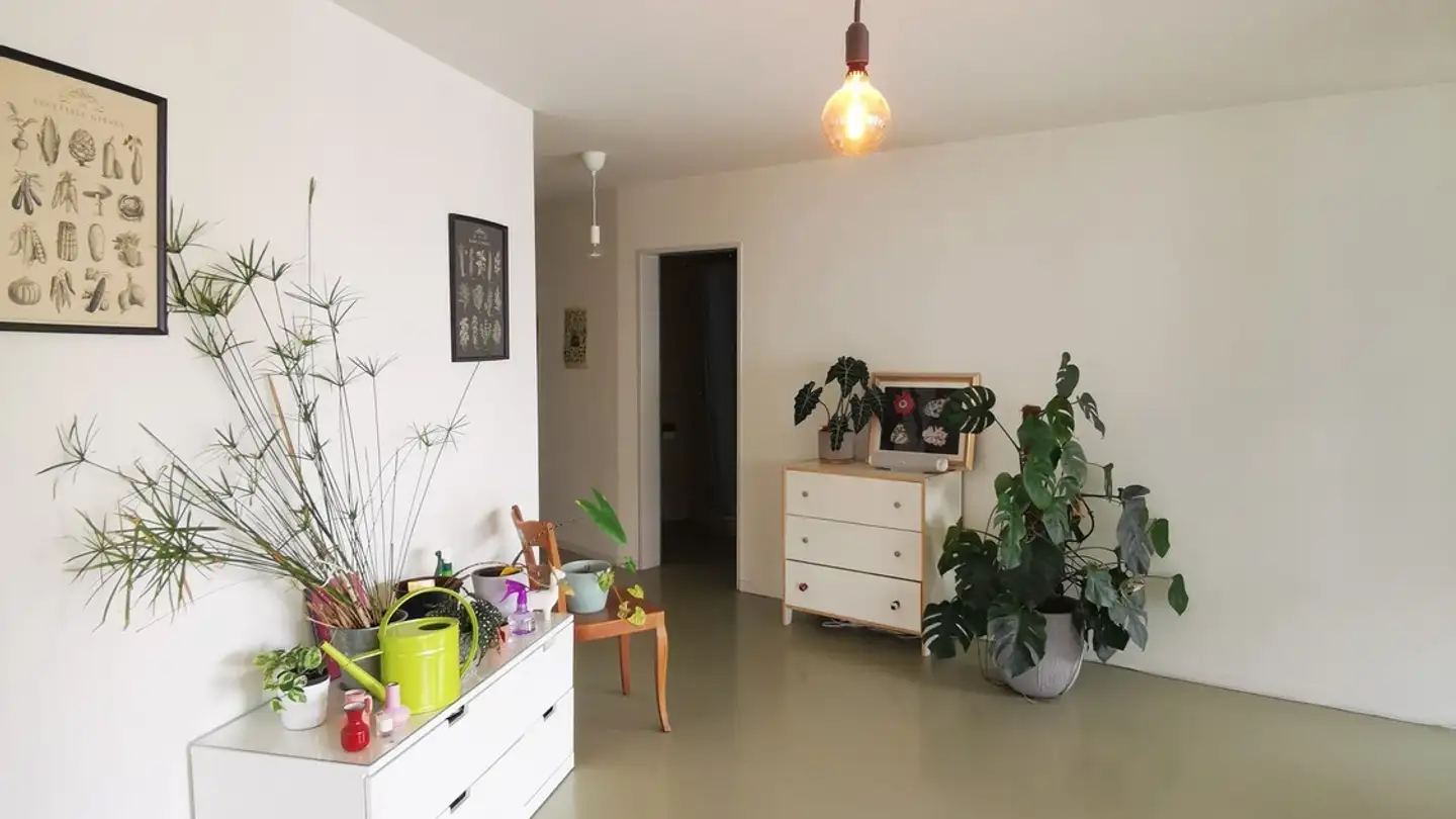 Stanza singola in affitto - 8048 Zürich