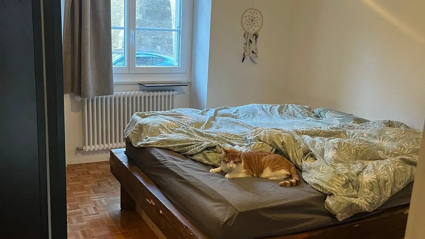 Appartamento in affitto - Place Du Temple 2, 1304 Cossonay-Ville - Foto 2