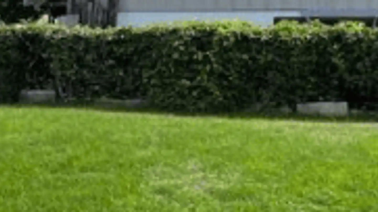 Casa bifamiliare in vendita - Schulgasse 16, 4105 Biel-Benken BL - Foto 3