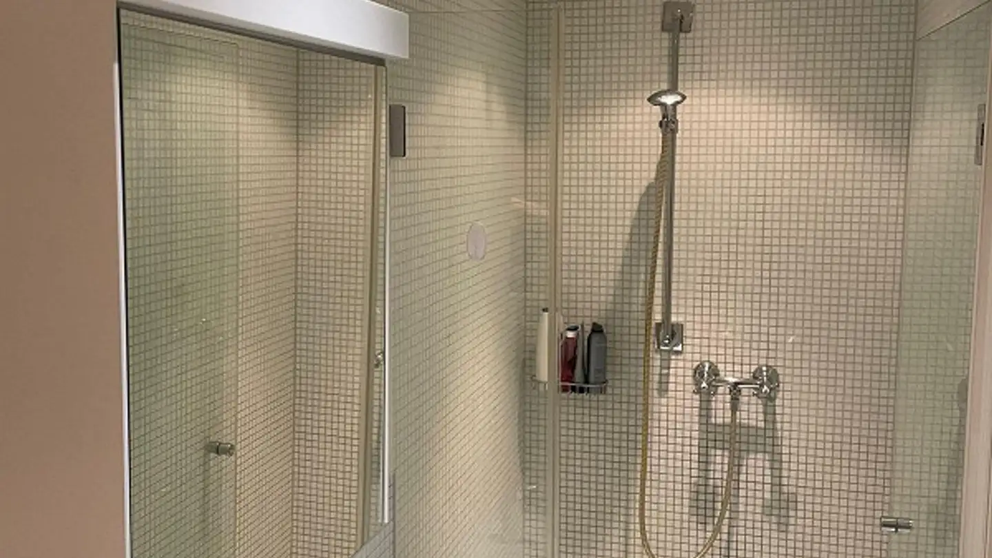 Apartment for rent - Üetlibergstrasse 360, 8045 Zürich - Photo 3