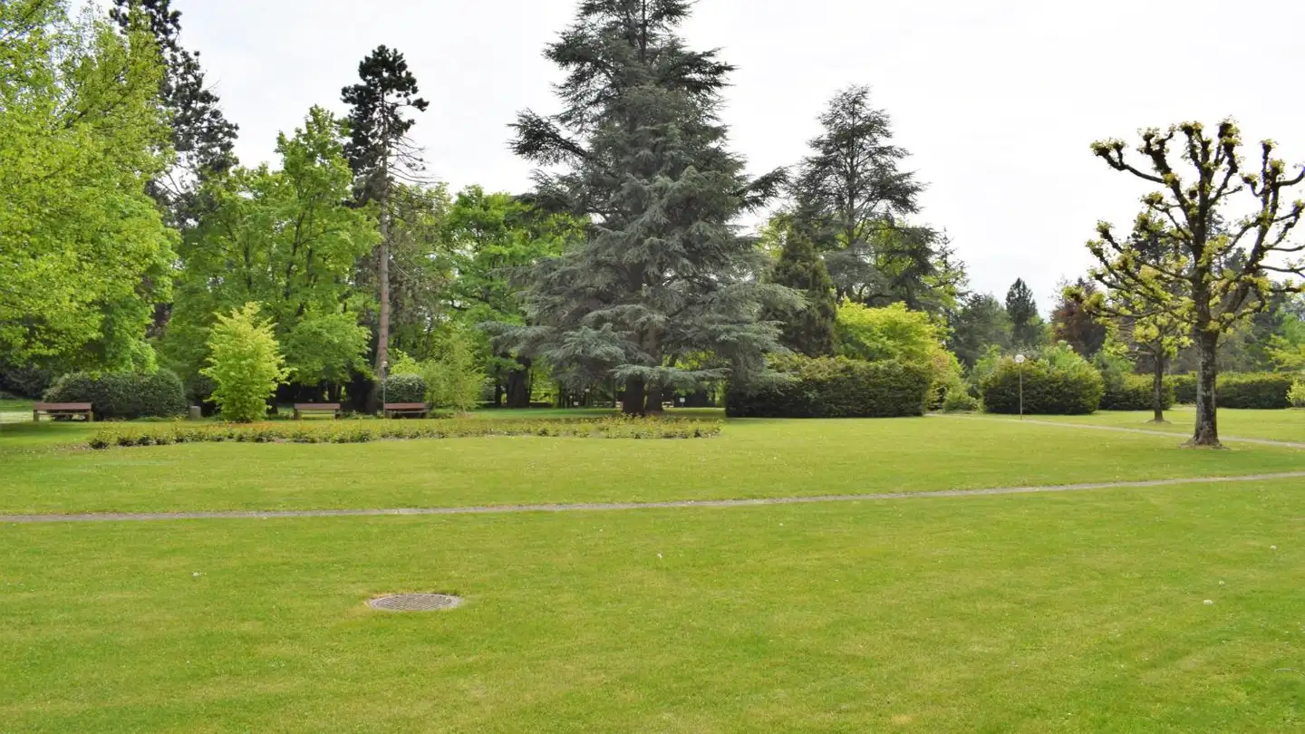 Appartamento in vendita - 1218 Le Grand-Saconnex - Foto 3