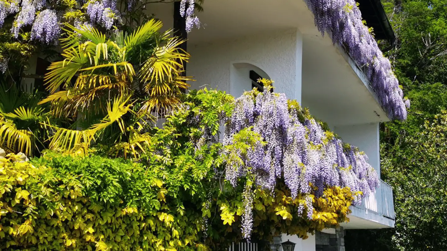 Casa singola in vendita - Via Baslona 2, 6914 Carona - Foto 2