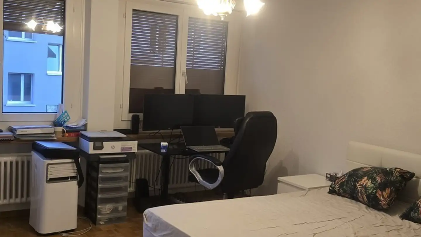 Chambre à louer - Kappenbühlweg, 8049 Zürich - Photo 2