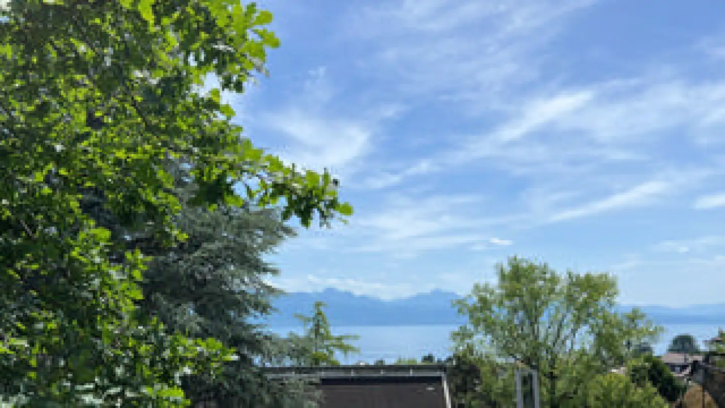 Appartamento in affitto - Chemin Du Val D'or, 1009 Pully