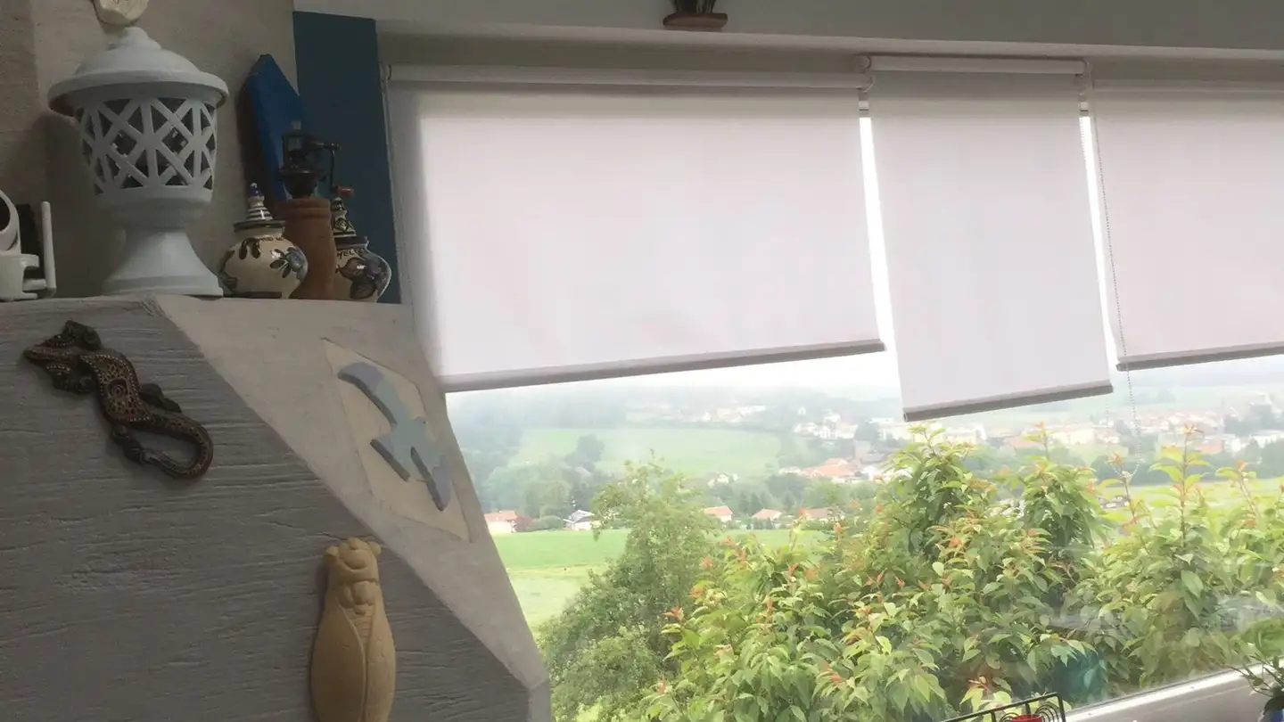 Apartment for rent - Impasse Des Rochettes 8, 1776 Montagny-la-Ville