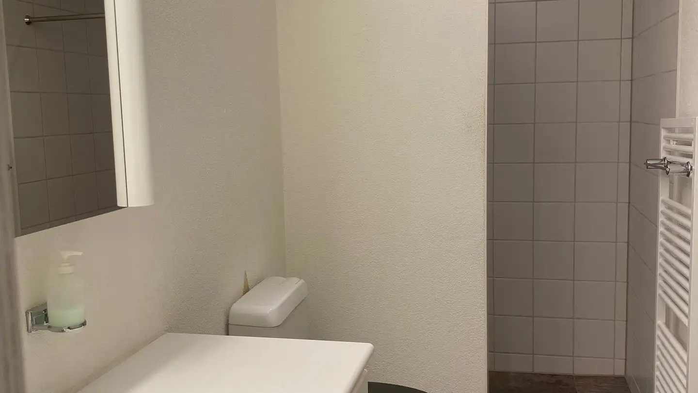 Penthouse for rent - Lenzburgerstrasse 70, 5504 Othmarsingen - Photo 4