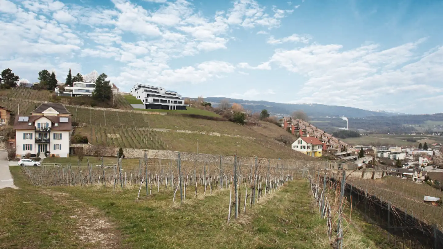 Casa singola in affitto - Route De Sachet, 2016 Cortaillod - Photo 3