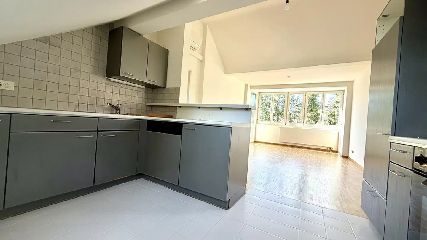 Penthouse for rent - Baslerstrasse 90, 4123 Allschwil - Photo 2