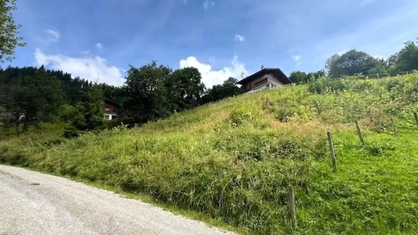 Terrain constructible à vendre - 1716 Plaffeien - Photo 2