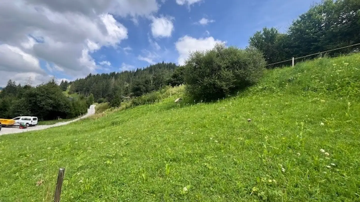 Terrain constructible à vendre - 1716 Plaffeien - Photo 3