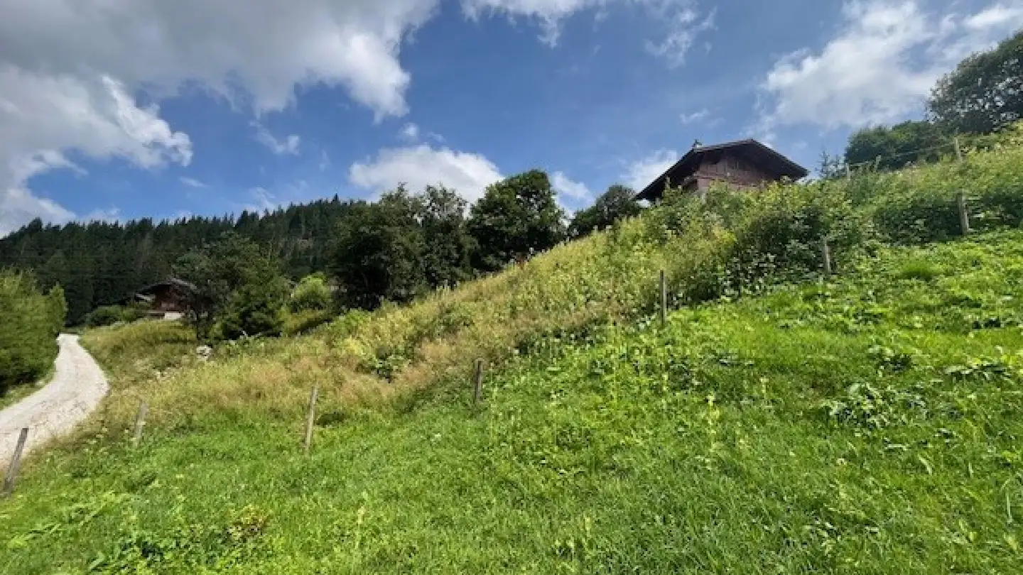 Terrain constructible à vendre - 1716 Plaffeien - Photo 4