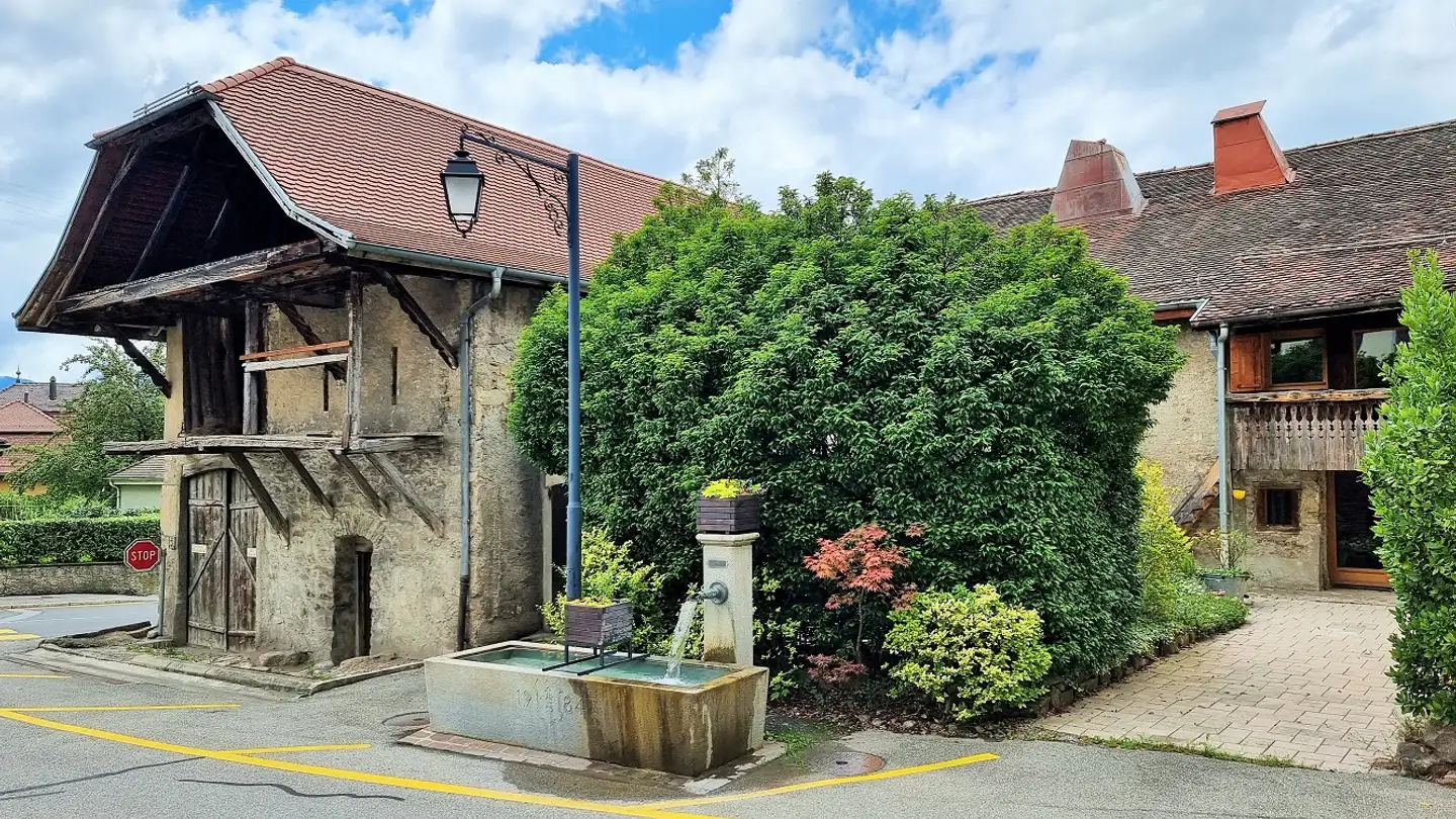 Ferme à vendre - 1806 St-Légier-La Chiésaz