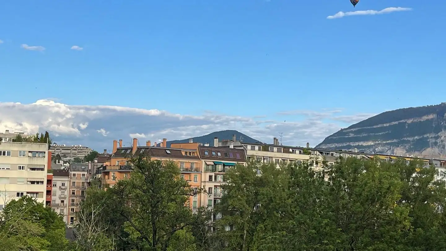 Wohnung mieten - Quai Du Cheval-Blanc 11, 1227 Les Acacias