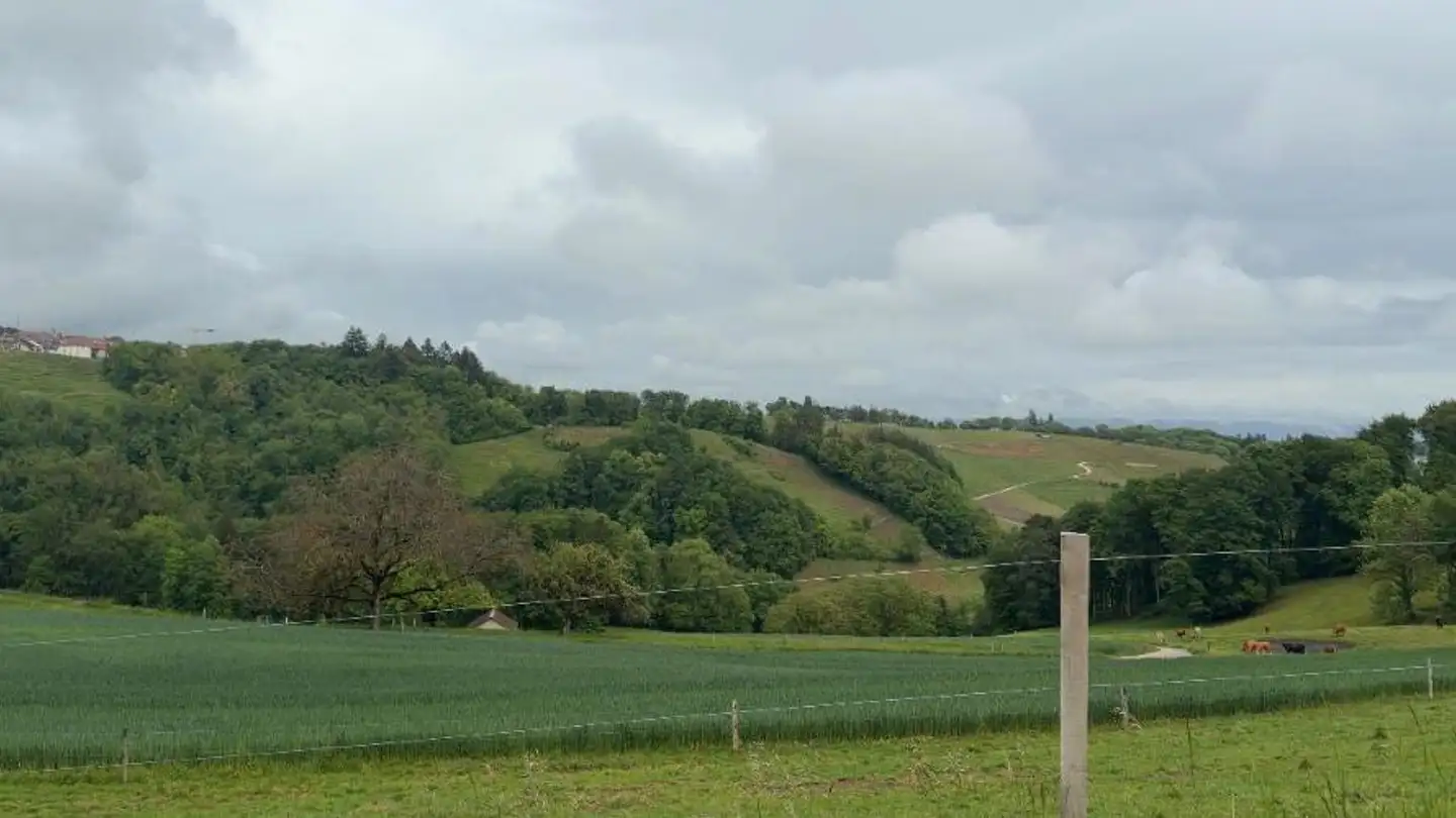 Industrial building plot for sale - 1170 Aubonne