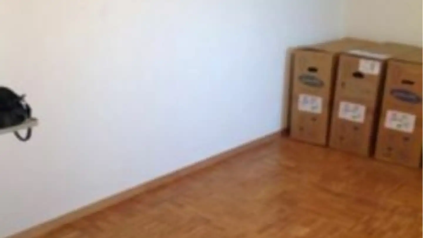 Commerciale in affitto - Route Des Biolley 19, 1615 Bossonnens - Photo 3