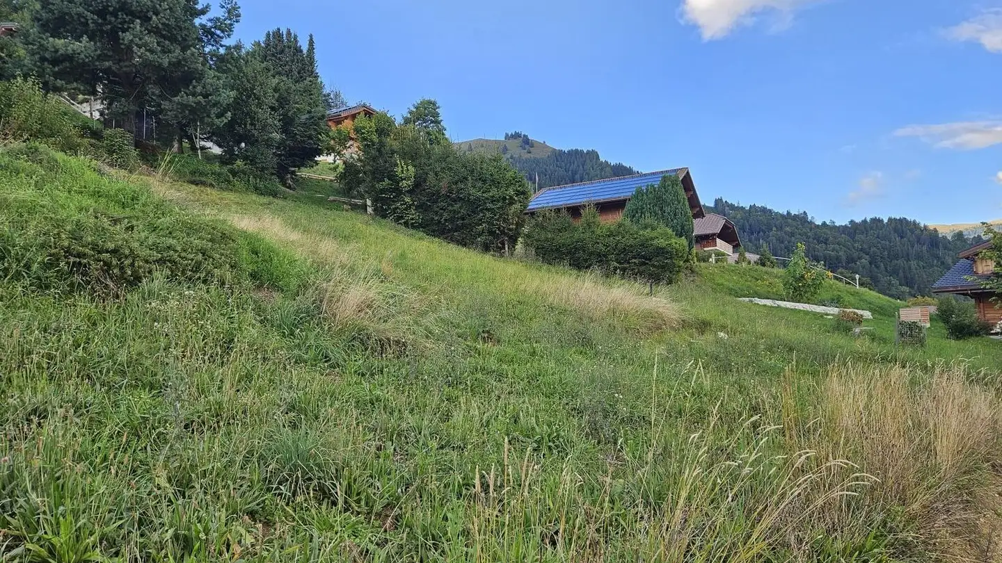 Terreno edificabile in vendita - 1653 Crésuz - Photo 2