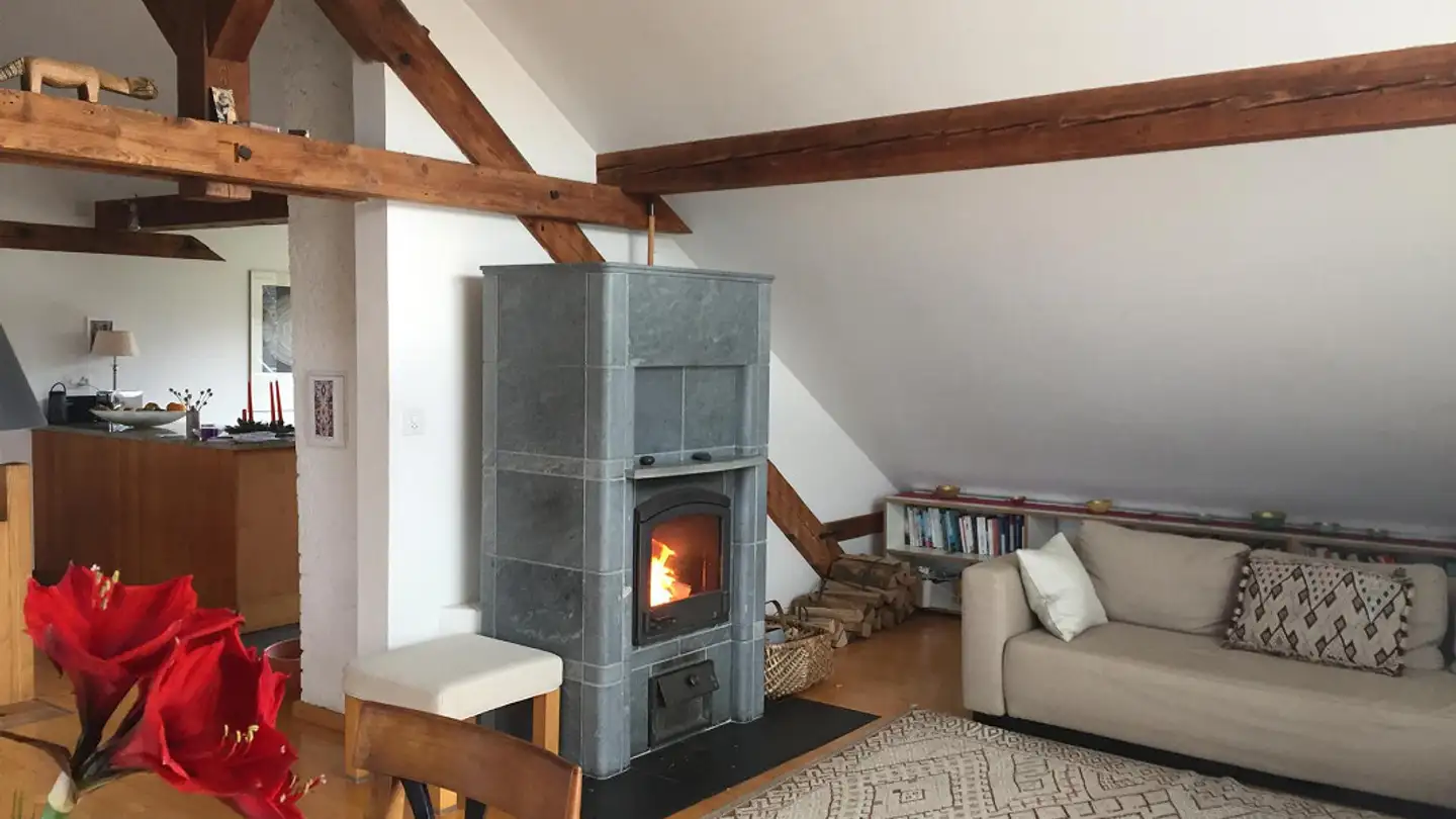 Appartamento in affitto - Brunnweg 4, 4143 Dornach - Foto 2