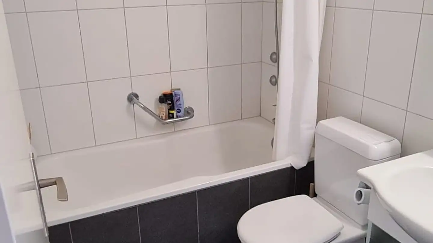 Appartamento in vendita - Risirainstrasse 11, 8903 Birmensdorf ZH - Photo 4