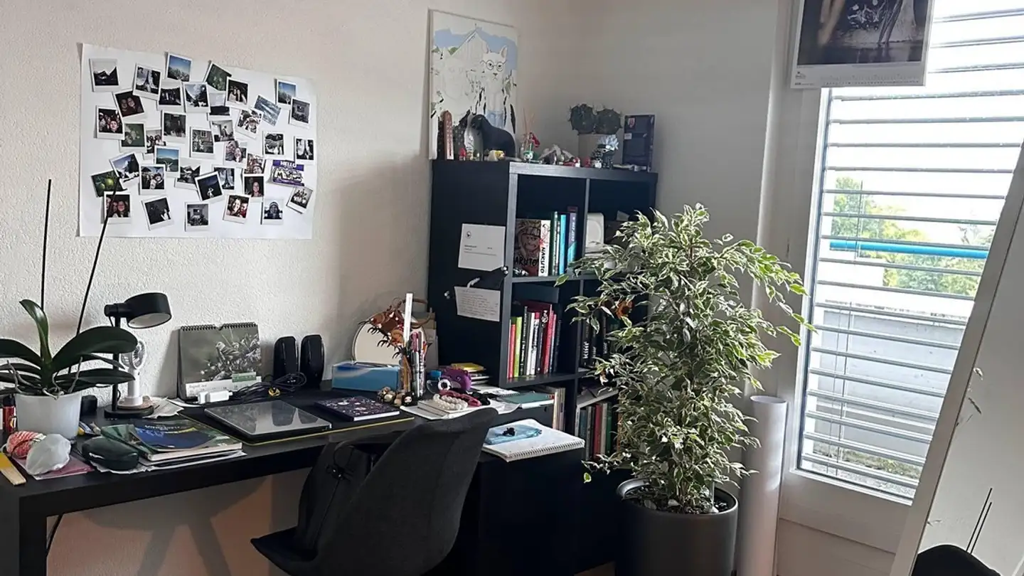 Appartement à louer - Neudorfstrasse 1, 9240 Uzwil - Photo 3