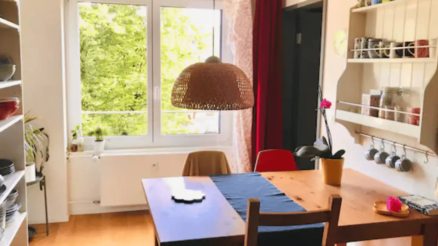 Möblierte Wohnung mieten - Breitensteinstrasse 31, 8037 Zürich