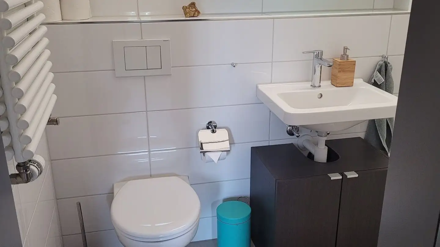 Möblierte Wohnung mieten - Breitensteinstrasse 31, 8037 Zürich - Foto 4