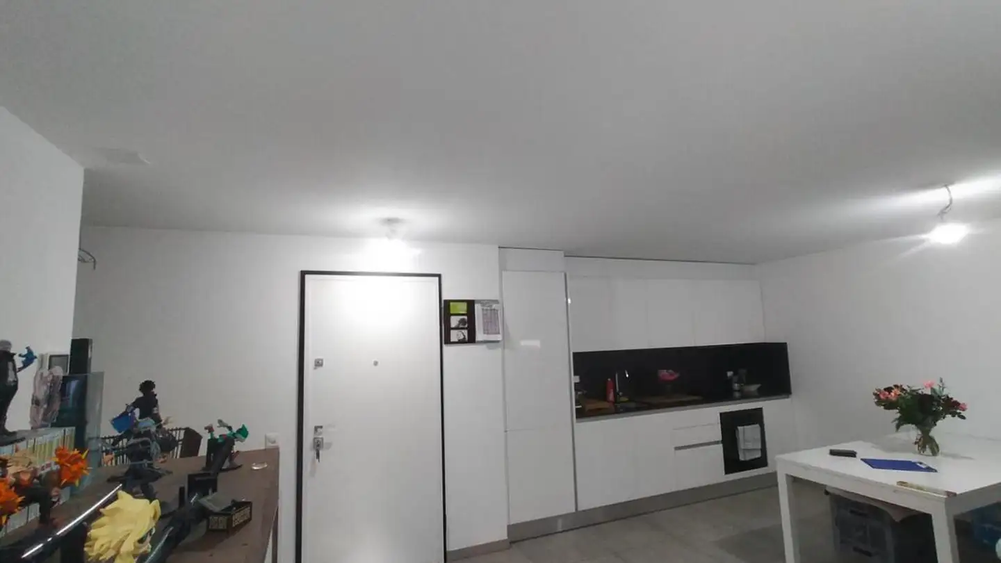 Apartment for sale - 6675 Cevio - Photo 2