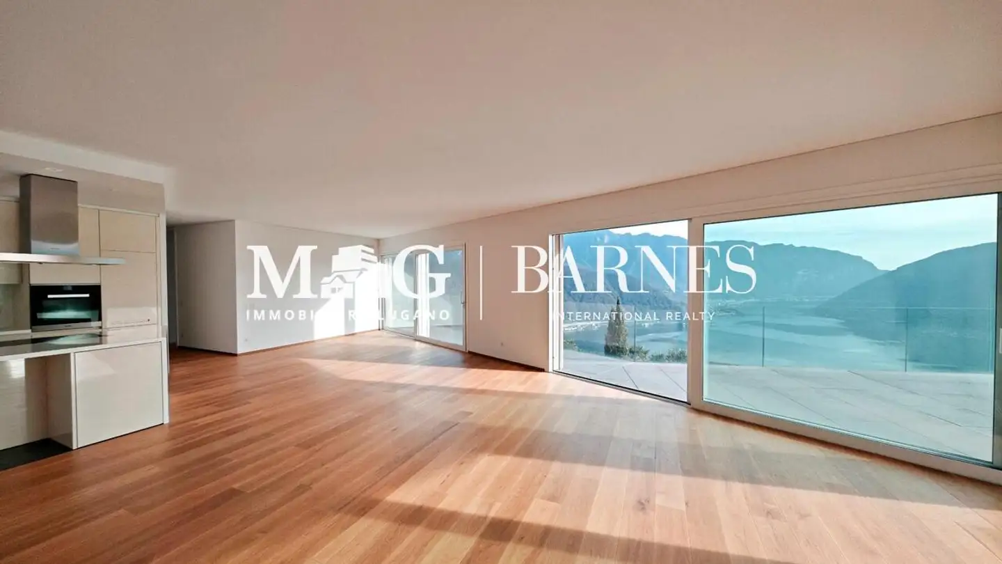 Attic flat for sale - 6914 Carona - Photo 3