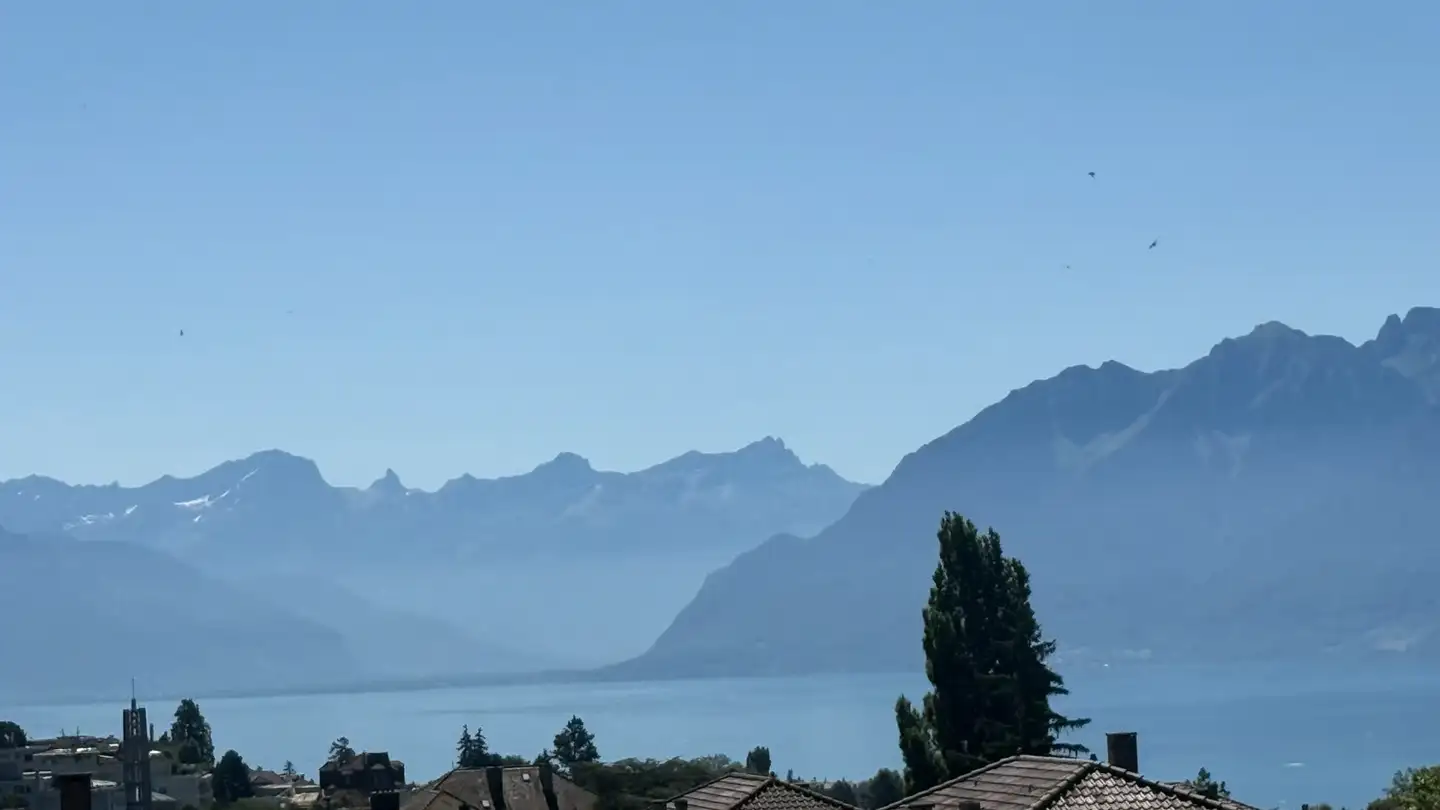 Appartamento in affitto - 1010 Lausanne