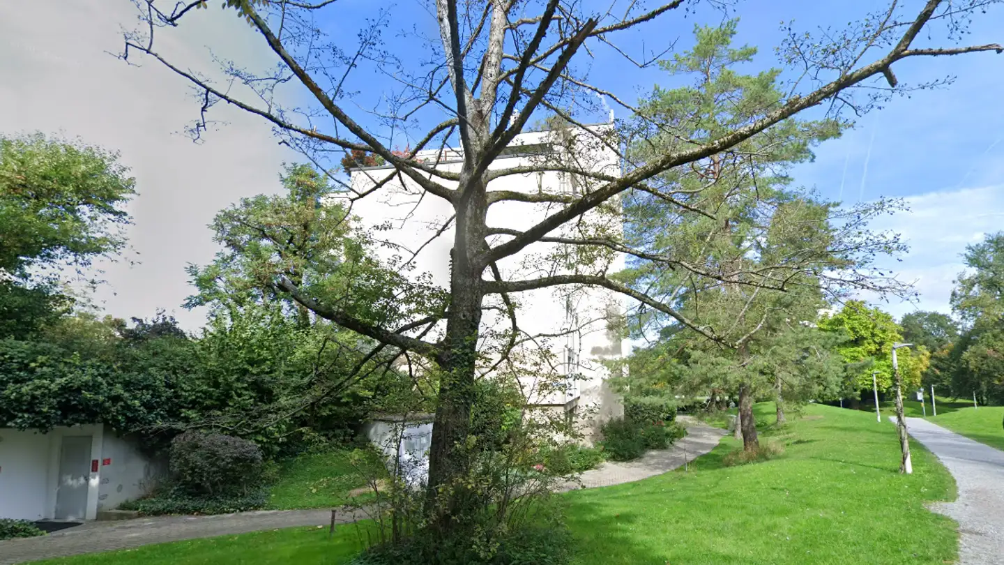 Wohnung mieten - Im Sträler 21, 8047 Zürich