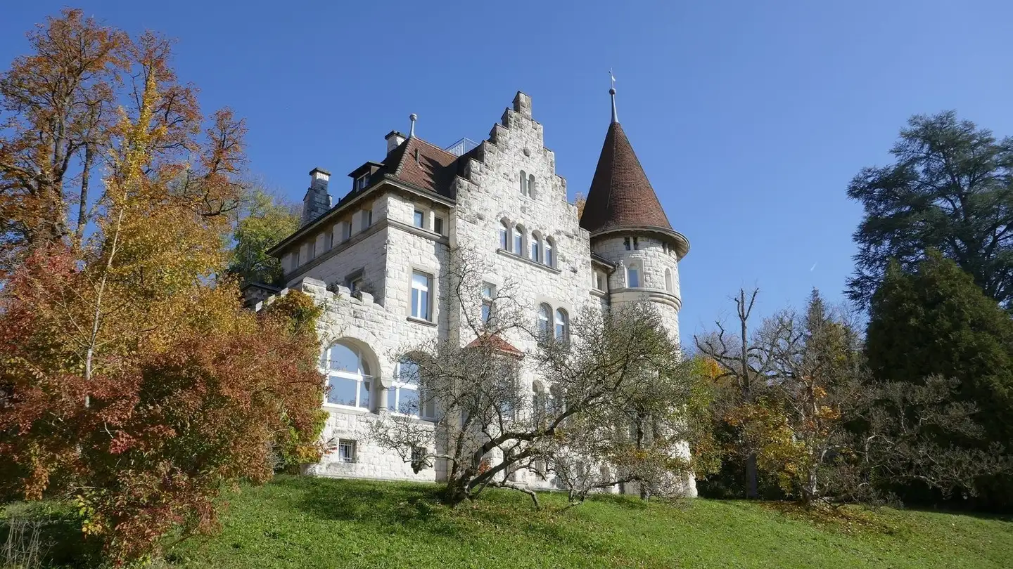 Duplex à louer - Rheinhaldenstrasse 60, 8200 Schaffhausen