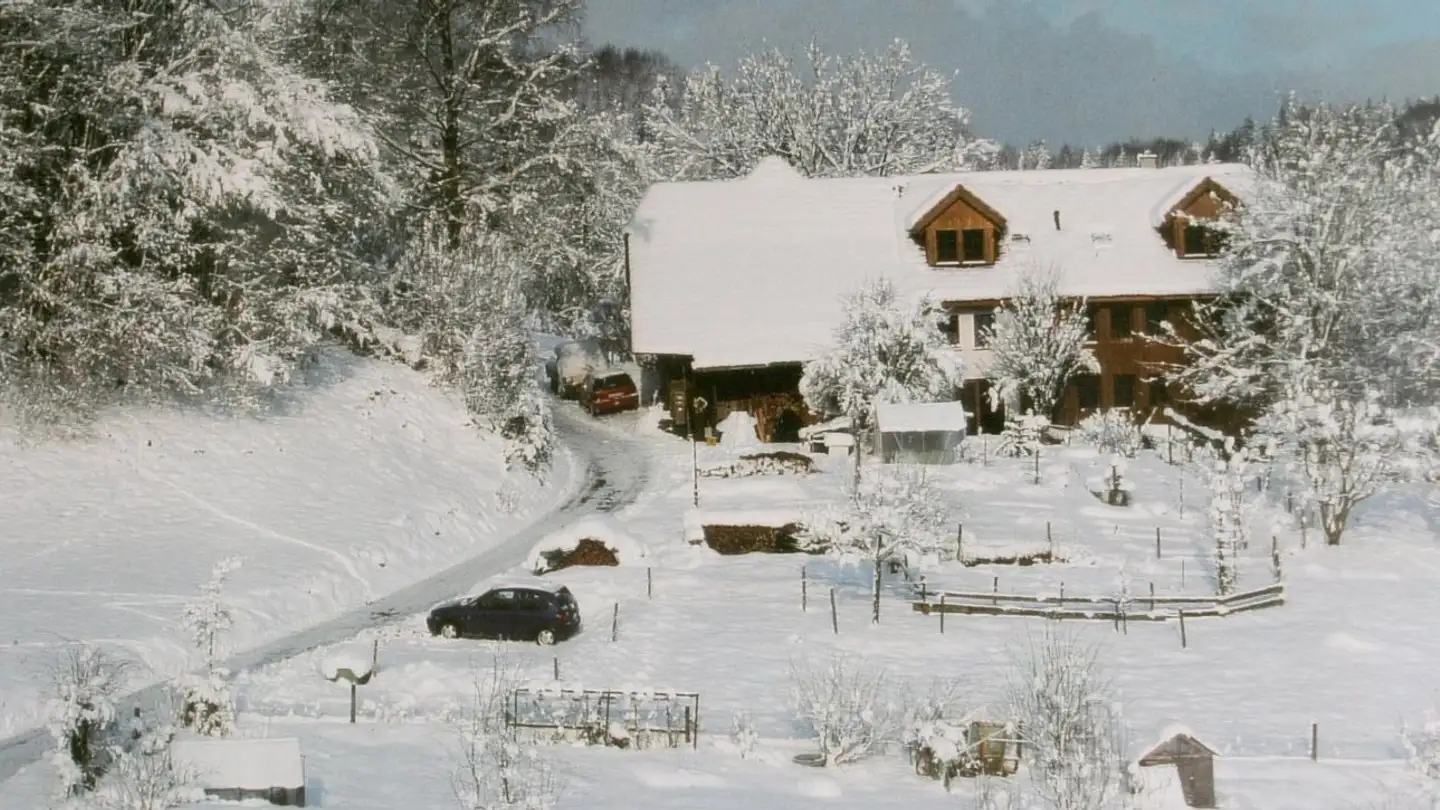 Apartment for rent - Gnägiweg 11, 4814 Bottenwil