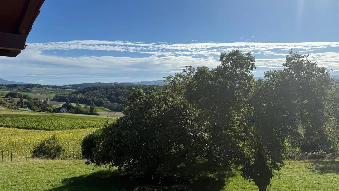 Casa singola in vendita - 1350 Orbe - Photo 4