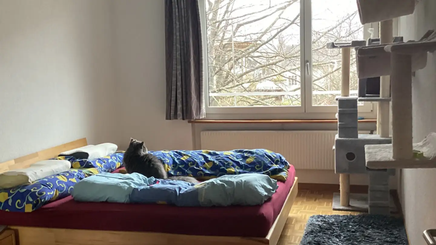 Wohnung mieten - Schulstrasse 50, 3604 Thun - Foto 4