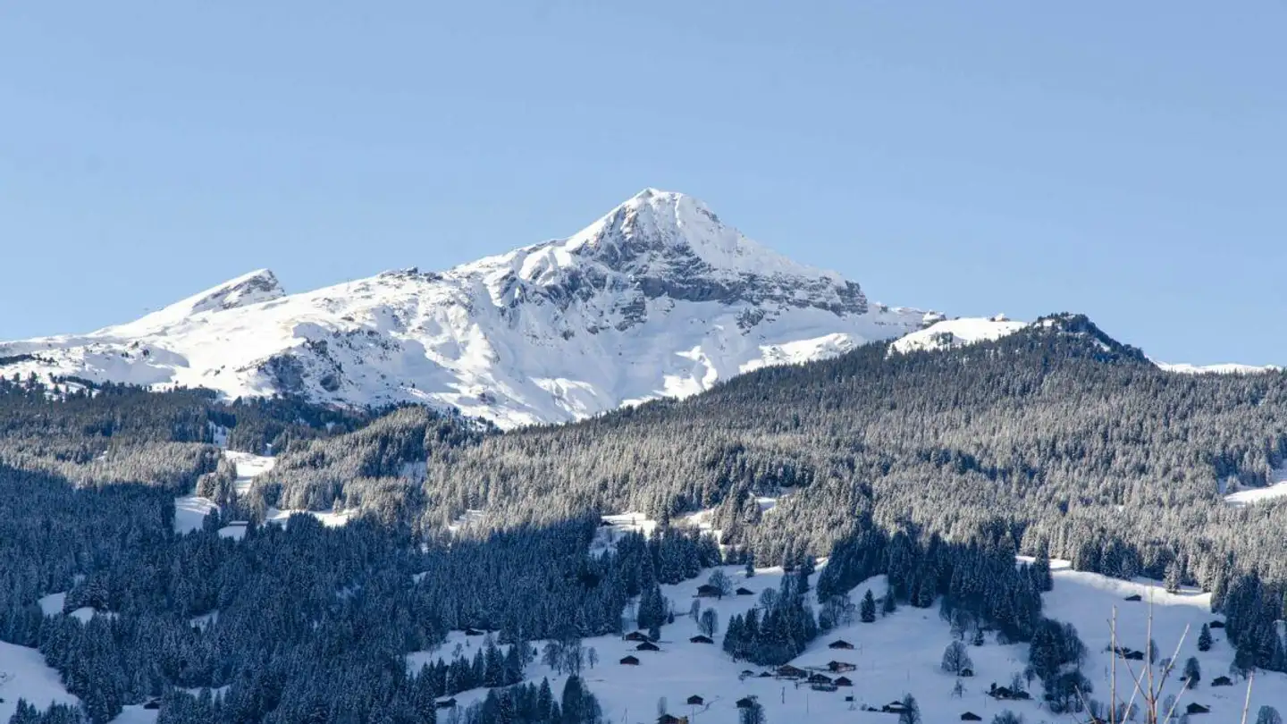 Appartement à vendre - Spillstattstrasse 63, 3818 Grindelwald - Photo 3