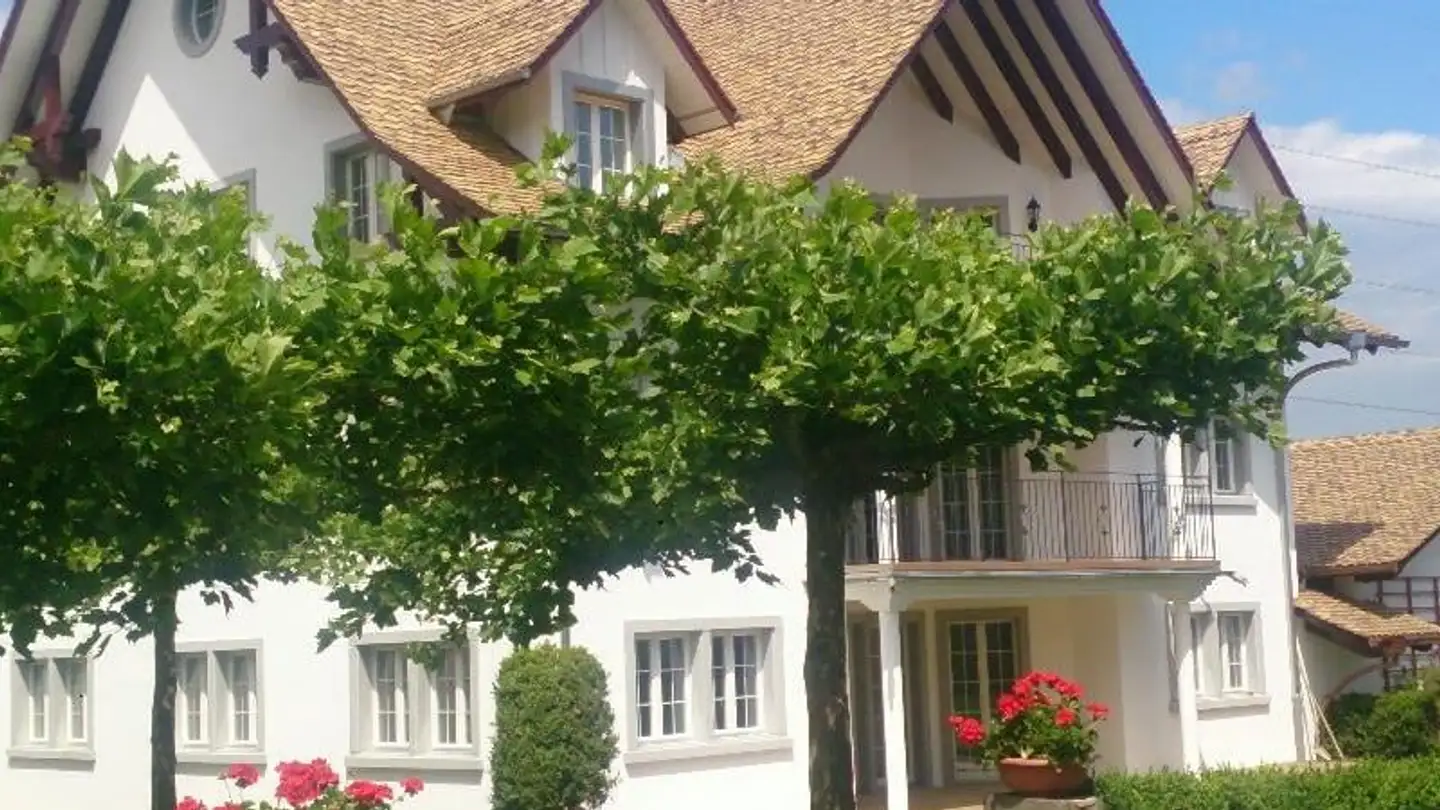 Appartamento in affitto - Adletshuserriedweg 12, 8627 Grüningen